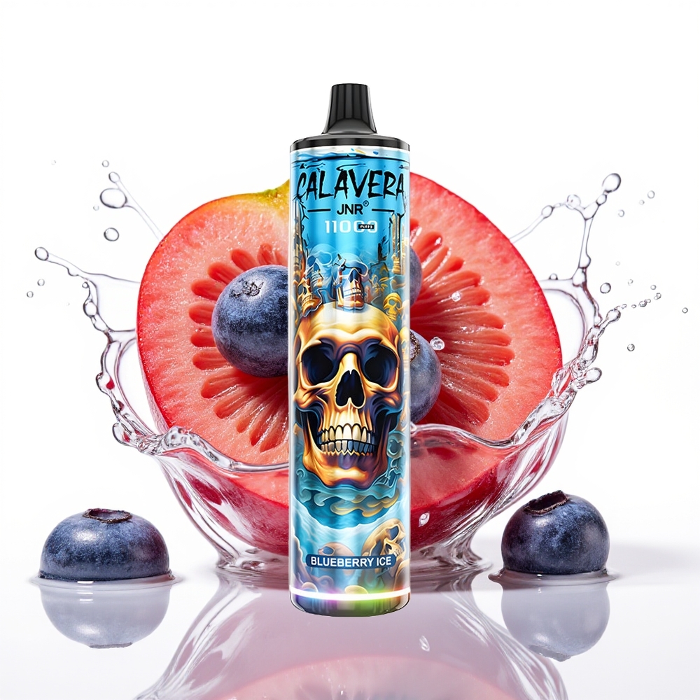 JNR Calavera 11000 Puffs 21ml 850mAh Enkratna Vape Borovnica Led