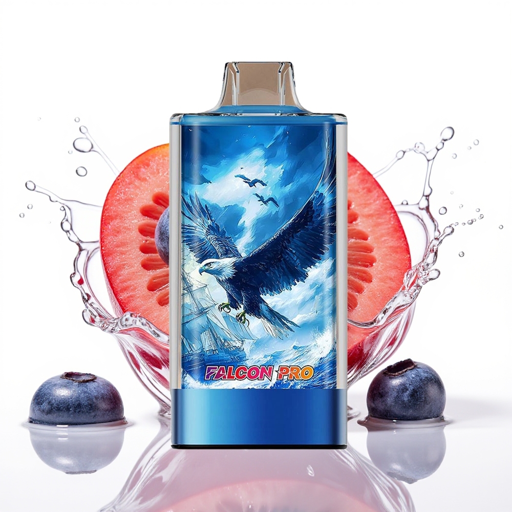 JNR Falcon Pro 28000 30ml USB-C Enkratna Vape Borovnica Led