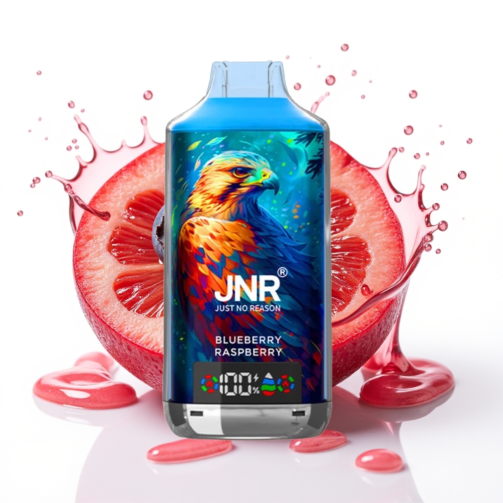 JNR Falcon X 18000 Puffs 24ml Digital Display Enkratni Vape Borovnica Malina