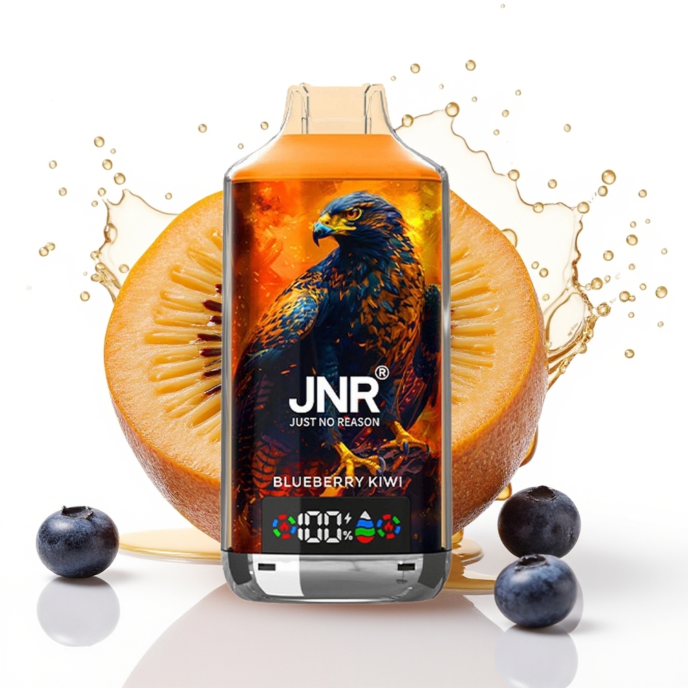 JNR Falcon X 18000 Puffs 24ml Dual Mesh Enkratni Vape Borovnica Kivi