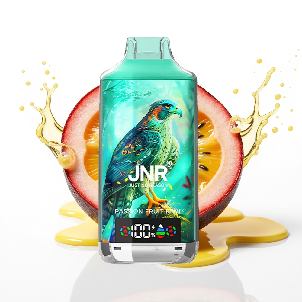 JNR Falcon X 18000 Puffs 24ml Dual Mesh Pasijonirano Sadje Kivi