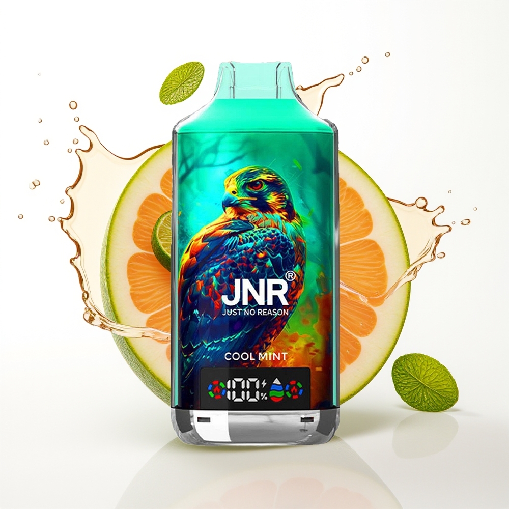 JNR Falcon X 18000 Puffs 24ml Hladna Meta Dual Mesh