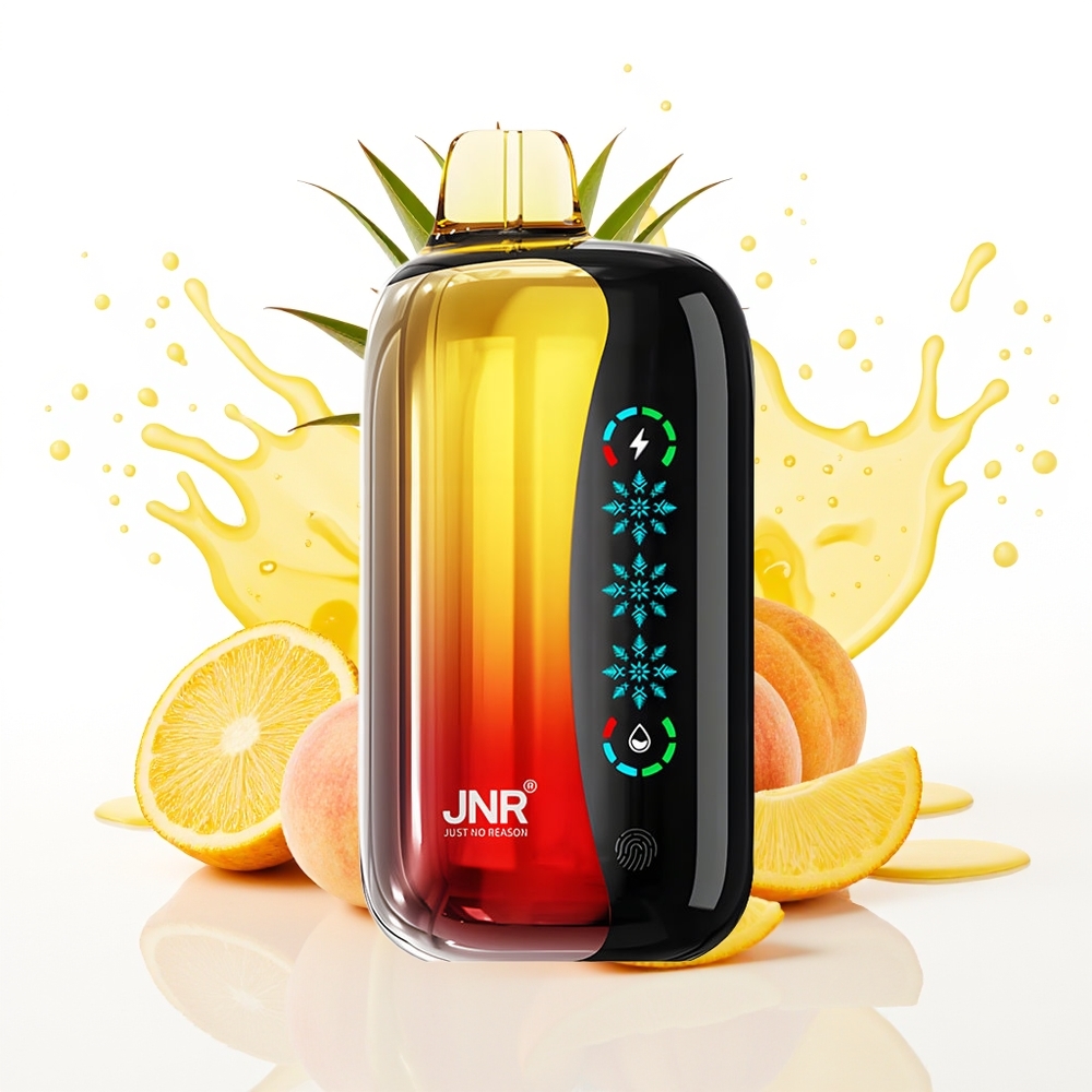 JNR Flex Ice 21000 Puffs Enkratna Vapa Breskva Mango Ananas Prilagodljiv Zrak 26ml