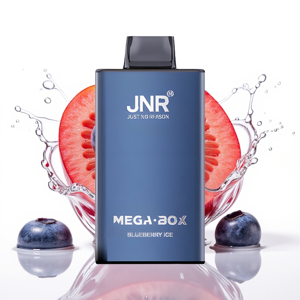 JNR Mega Box 25000 Puffs 30ml 850mAh Enkratna Vapa Borovnica Led