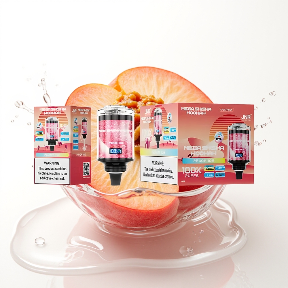 JNR Mega Shisha Hookah 100K 2200mAh Tip-C Breskova Ledena