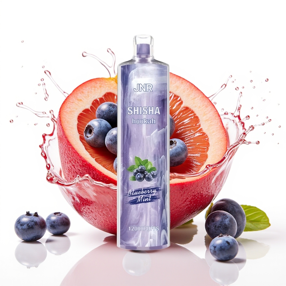 JNR Shisha Hookah 12000 Puffs 24ml 0.6 Ohm Borovnica Meta Enkratni Vape