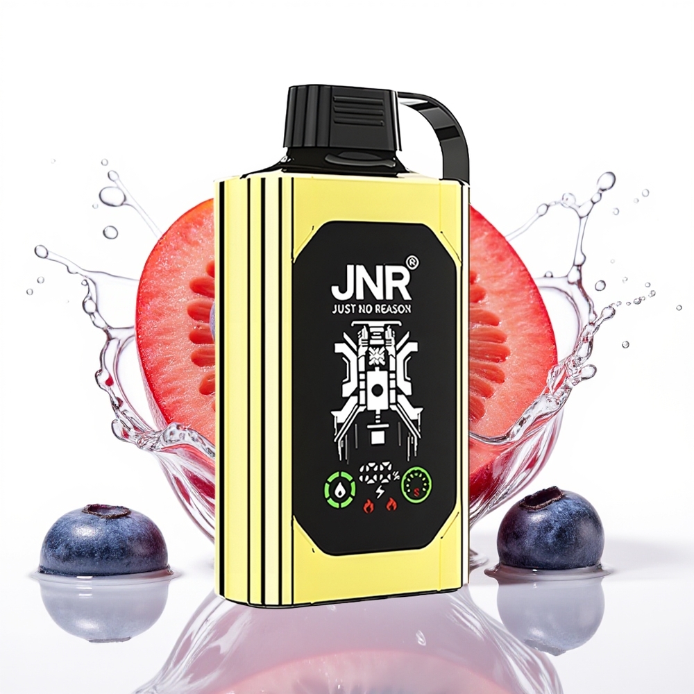 JNR Shisha Hookah Box 20500 Puffs 25ml 1000mAh Borovnica Led Enkratni Vape