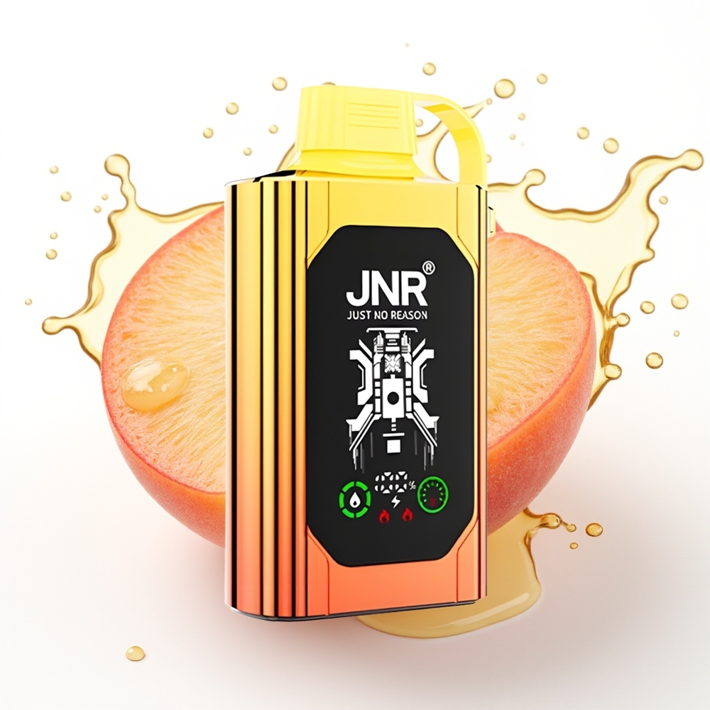 JNR Shisha Hookah Box 20500 Puffs Dual Mesh Coil Sočne Breskve