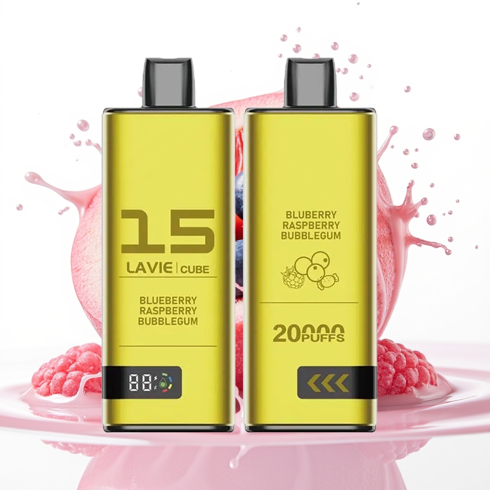 Lavie Cube 20000 Puffs 600mAh Type C Enkratni Vape Borovnica Malina Bubblegum